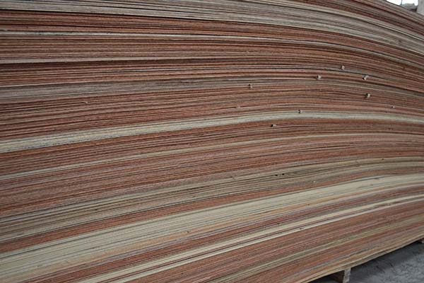 ����Ȼ���γ��Ͷ��Ӱ����D̎