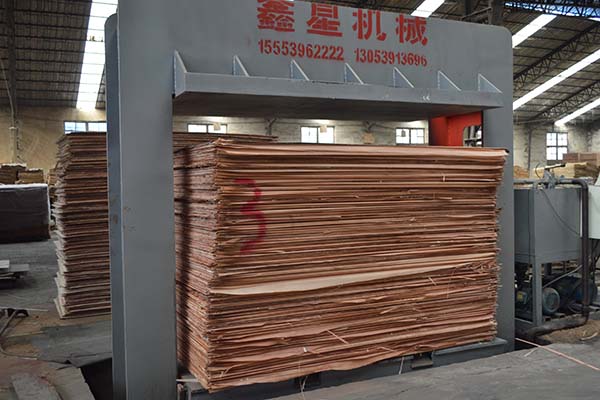 ����Ȼ���γ��Ͷ��Ӱ�ቺ�C