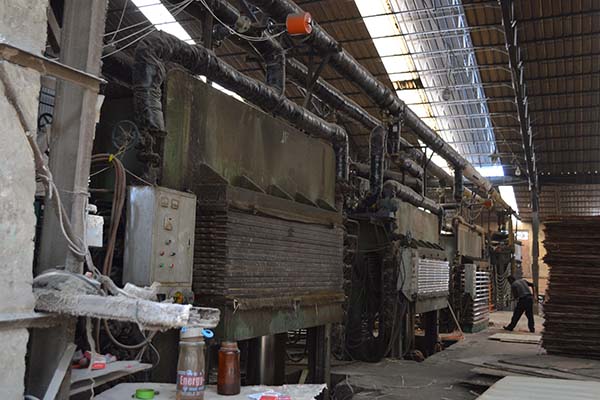 ����Ȼ���Ӱ����a�O��