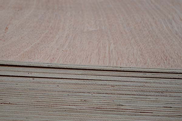 2.3mm���γ��Ͷ��Ӱ�