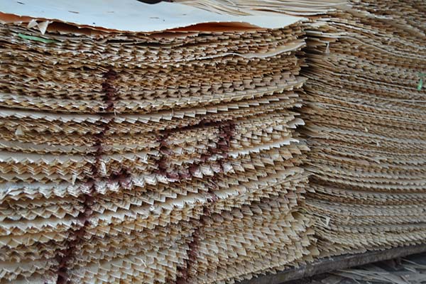 ���Ӱ�ԭ����