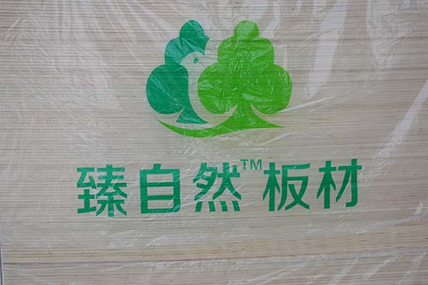 ����Ȼ�h�����γ��Ͷ��Ӱ�