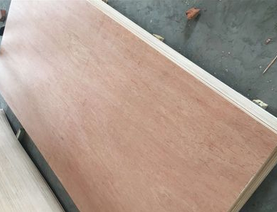 ���γ��Ͷ��Ӱ�