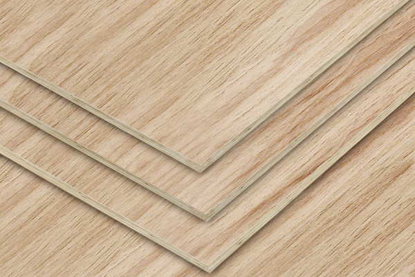 ���γ��Ͷ��Ӱ�